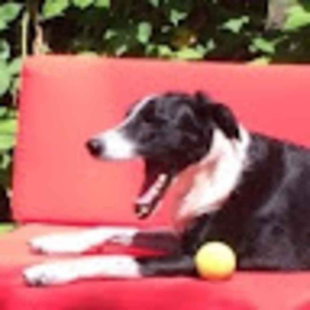 Meet your Posher, Cydney